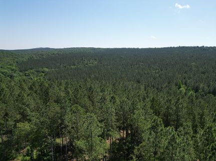 Timberland Property in DeKalb County, Alabama
