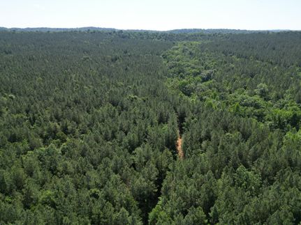 Farm and Ranch in DeKalb County, Alabama