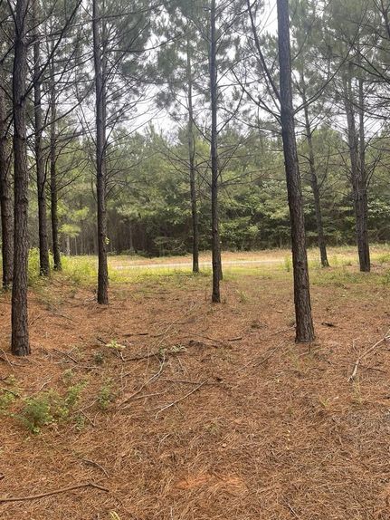 Timberland Property for sale in Shelby County, Texas