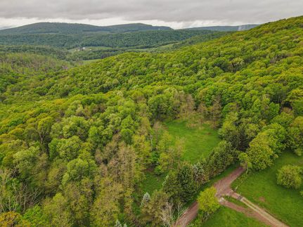 Undeveloped Land in Preston County, West Virginia