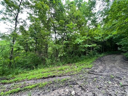 Undeveloped Land in Greene County, Pennsylvania