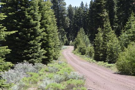 Undeveloped Land in Modoc County, California