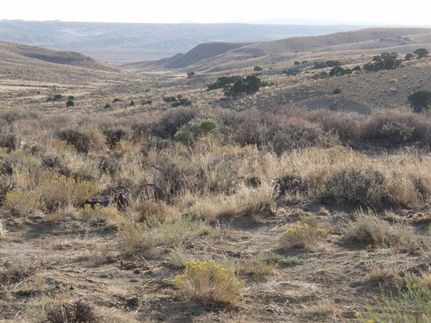 Timberland Property in Sweetwater County, Wyoming