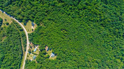 Undeveloped Land in Twiggs County, Georgia