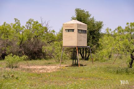 Farm and Ranch in Coleman County, Texas