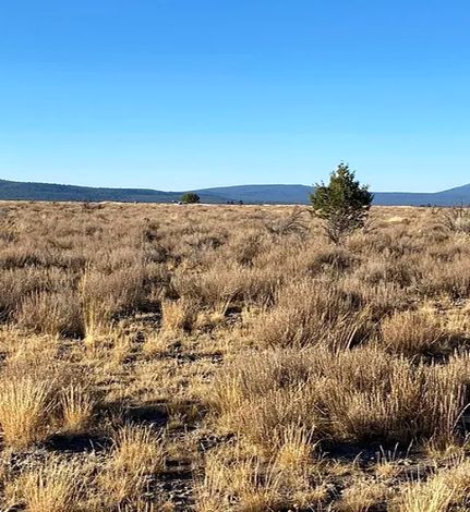 Land in Klamath County, Oregon