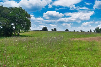Timberland Property in Caldwell County, Texas