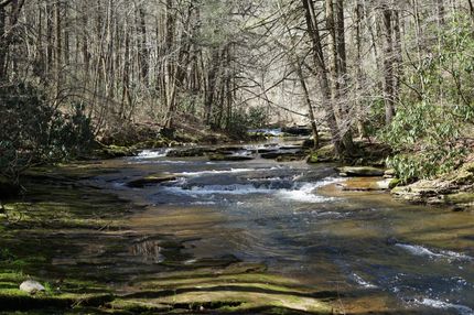 Undeveloped Land in Bledsoe County, Tennessee
