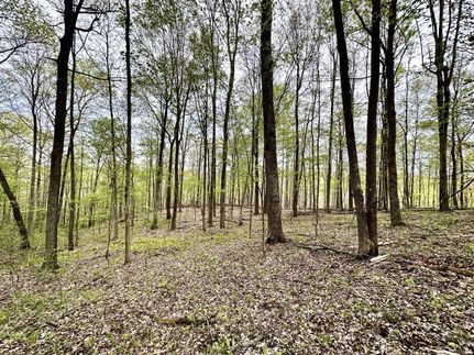 Hunting Property in Meigs County, Ohio