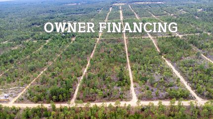 Undeveloped Land in Putnam County, Florida