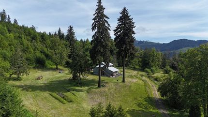 Undeveloped Land in Lane County, Oregon