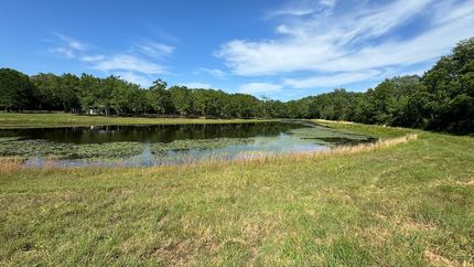 Undeveloped Land in Baldwin County, Alabama