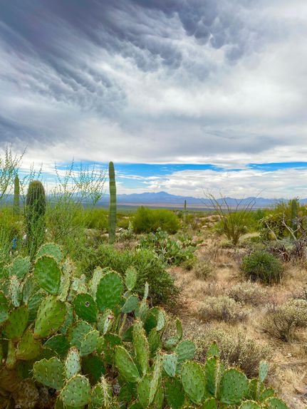 Farm and Ranch in Pinal County, Arizona
