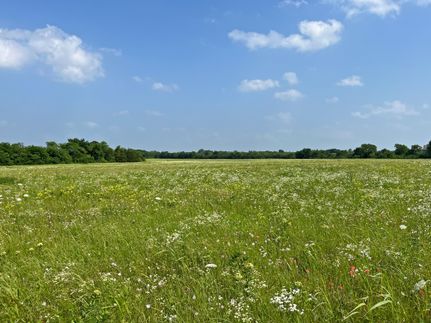 Recreational Property in Fannin County, Texas