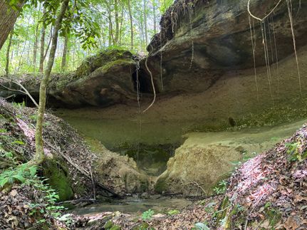 Recreational Property for sale in Clarke County, Alabama