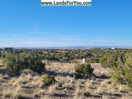 Undeveloped Land in Apache County, Arizona