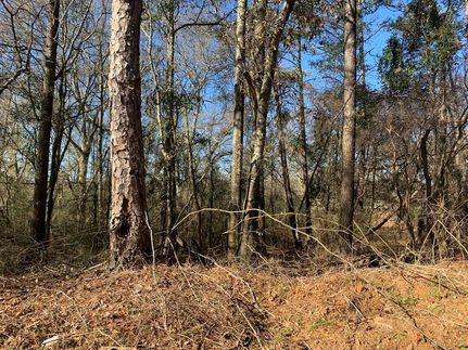 Farm and Ranch in Crenshaw County, Alabama