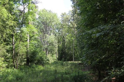 Timberland Property in Saluda County, South Carolina