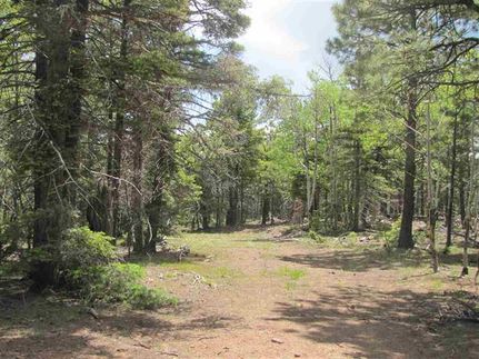Farm and Ranch in Colfax County, New Mexico