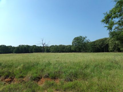 Undeveloped Land in Red River County, Texas