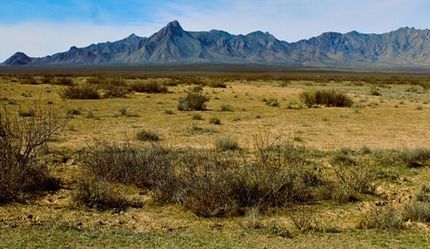 Undeveloped Land in Luna County, New Mexico
