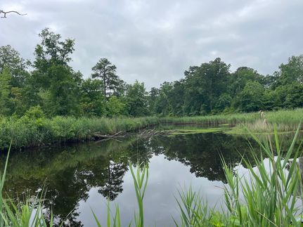 Farm and Ranch in Pamlico County, North Carolina