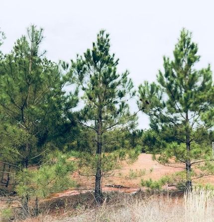 Farm and Ranch in Cass County, Texas