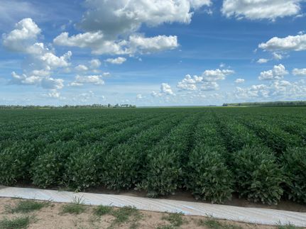 Farm and Ranch in Lonoke County, Arkansas