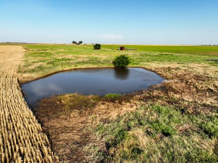 Undeveloped Land in Knox County, Texas