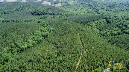 Recreational Property in Perry County, Tennessee