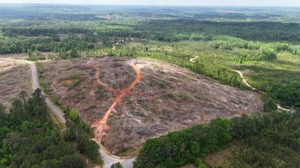 Timberland Property in Barbour County, Alabama