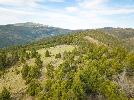 Timberland Property in Lewis and Clark County, Montana