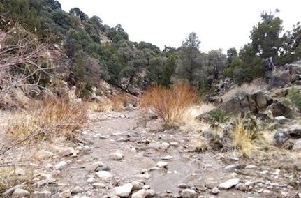 Farm and Ranch in Douglas County, Nevada