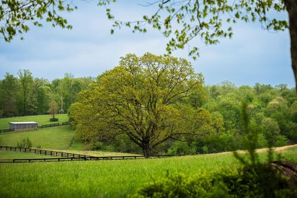 Farm and Ranch in Williamson County, Tennessee