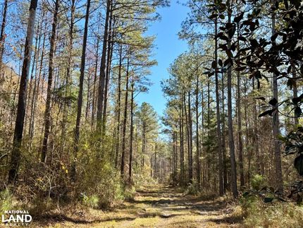 Hunting Property in Monroe County, Alabama