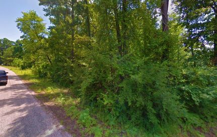 Undeveloped Land in Sabine County, Texas