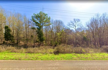 Undeveloped Land in Smith County, Texas