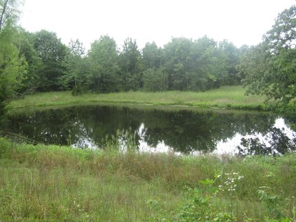Undeveloped Land in Choctaw County, Oklahoma