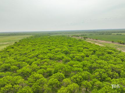 Hunting Property in Stephens County, Texas