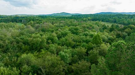Timberland Property in Lawrence County, Alabama