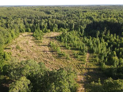 Hunting Property in Houston County, Tennessee