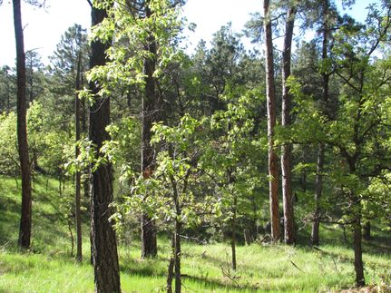 Farm and Ranch in Crook County, Wyoming