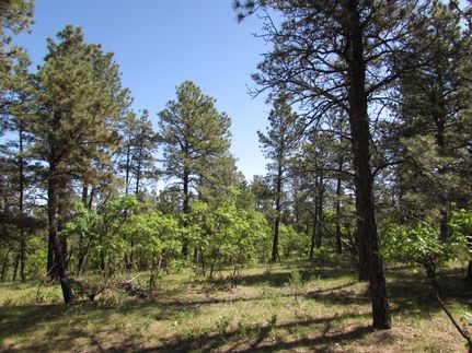 Recreational Property in Crook County, Wyoming