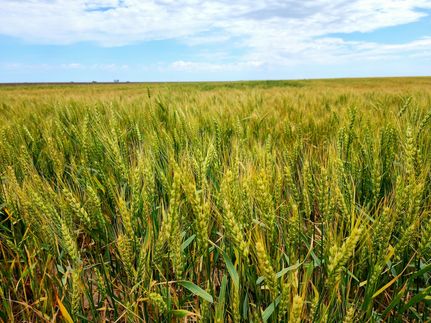 Land in Russell County, Kansas