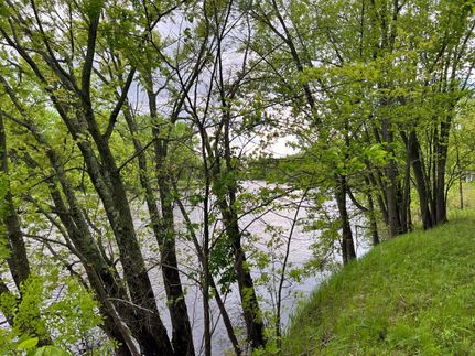 Undeveloped Land in Aitkin County, Minnesota