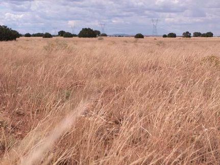 Lakefront Property in Navajo County, Arizona