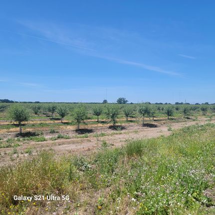 Farm and Ranch in San Joaquin County, California