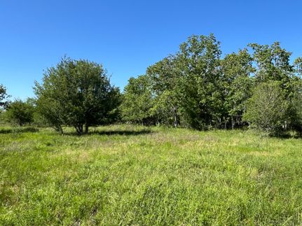 Farm and Ranch in Brazoria County, Texas
