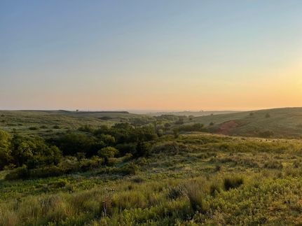 Timberland Property in Roger Mills County, Oklahoma