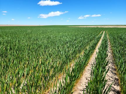 Recreational Property in Kimball County, Nebraska